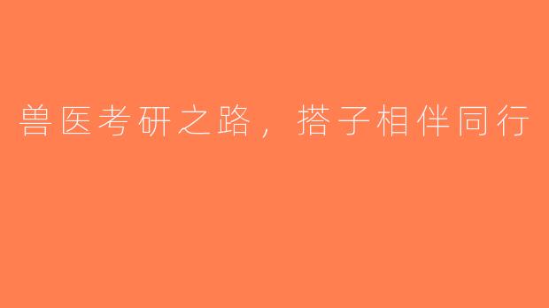 兽医考研之路，搭子相伴同行