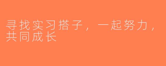 寻找实习搭子，一起努力，共同成长