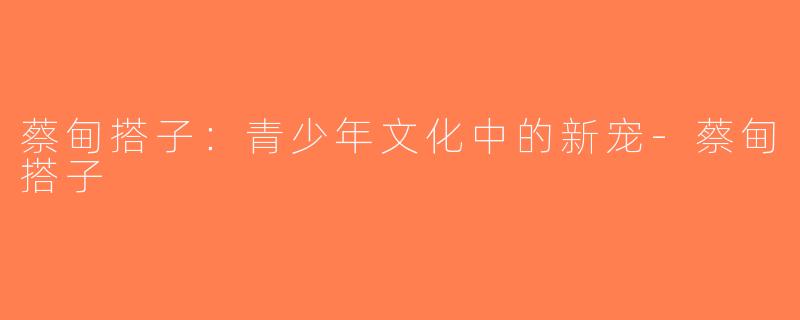 蔡甸搭子：青少年文化中的新宠-蔡甸搭子