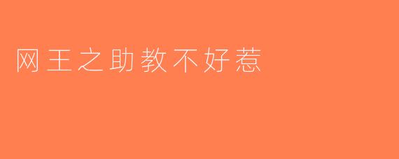 网王之助教不好惹