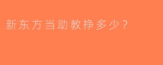 新东方当助教挣多少？