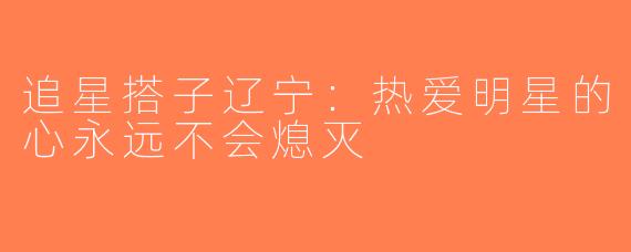 追星搭子辽宁:热爱明星的心永远不会熄灭