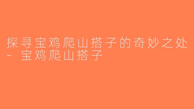 探寻宝鸡爬山搭子的奇妙之处-宝鸡爬山搭子