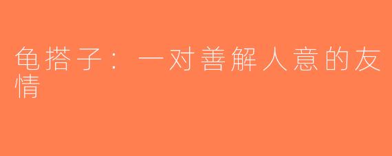 龟搭子：一对善解人意的友情