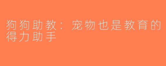 狗狗助教：宠物也是教育的得力助手