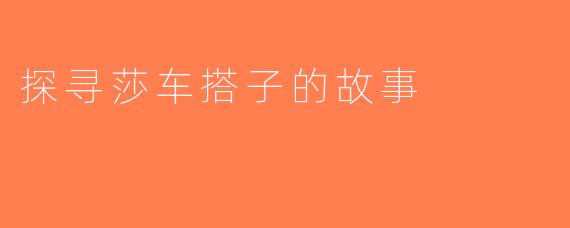 探寻莎车搭子的故事