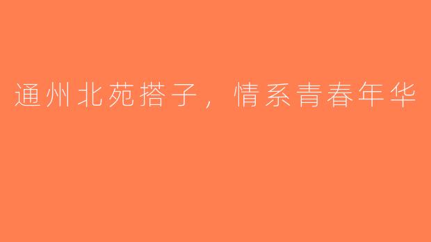 通州北苑搭子，情系青春年华