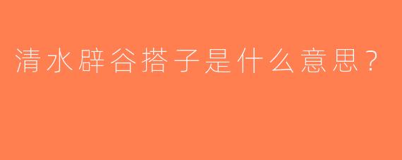 清水辟谷搭子是什么意思？