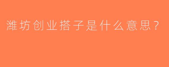 潍坊创业搭子是什么意思？