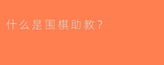 什么是围棋助教？