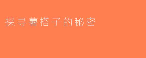 探寻薯搭子的秘密