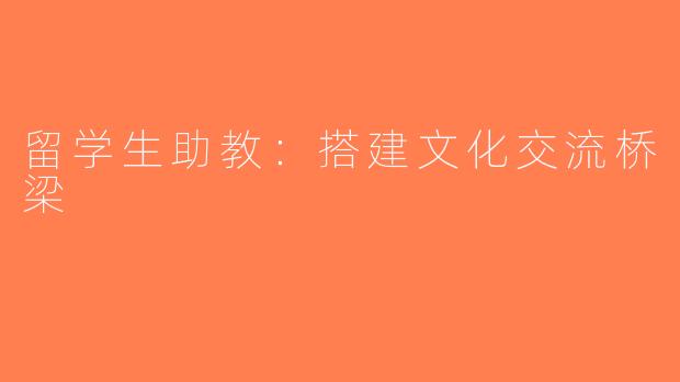 留学生助教：搭建文化交流桥梁