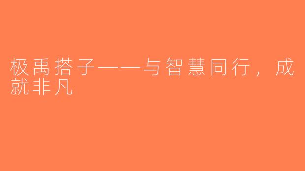 极禹搭子——与智慧同行，成就非凡