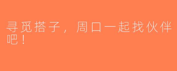 寻觅搭子，周口一起找伙伴吧！