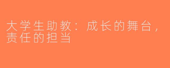 大学生助教：成长的舞台，责任的担当