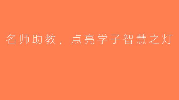 名师助教，点亮学子智慧之灯