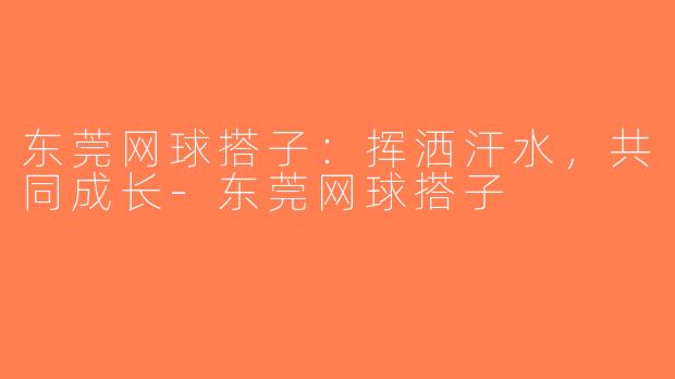 东莞网球搭子:挥洒汗水,共同成长-东莞网球搭子