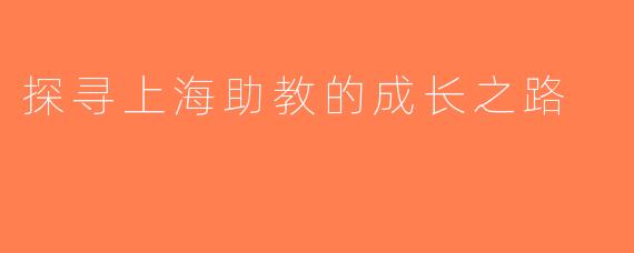 探寻上海助教的成长之路