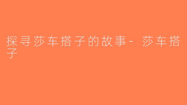 探寻莎车搭子的故事-莎车搭子