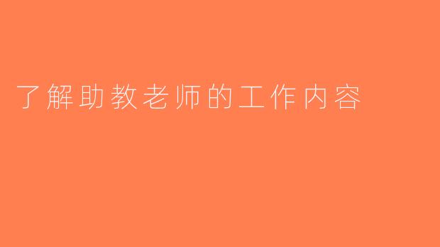 了解助教老师的工作内容