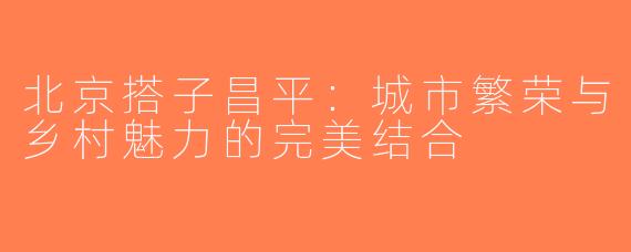 北京搭子昌平：城市繁荣与乡村魅力的完美结合