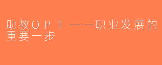 助教OPT——职业发展的重要一步