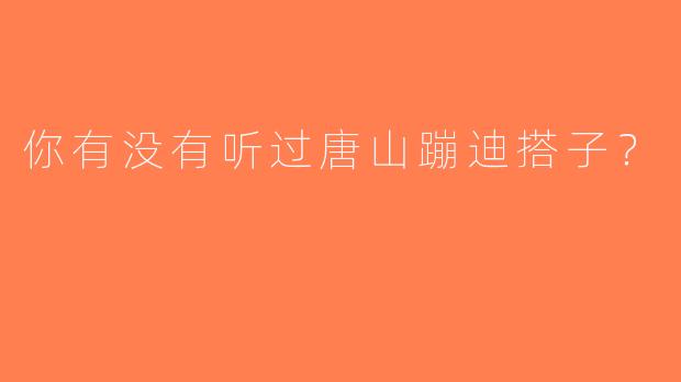 你有没有听过唐山蹦迪搭子？