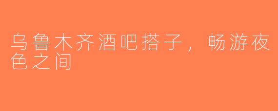 乌鲁木齐酒吧搭子，畅游夜色之间