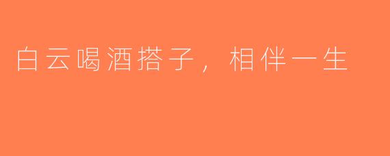 白云喝酒搭子，相伴一生