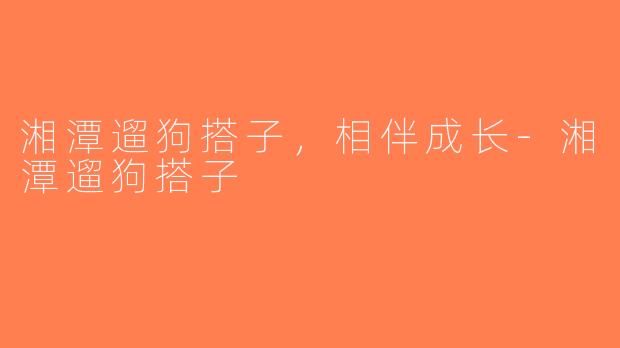 湘潭遛狗搭子，相伴成长-湘潭遛狗搭子