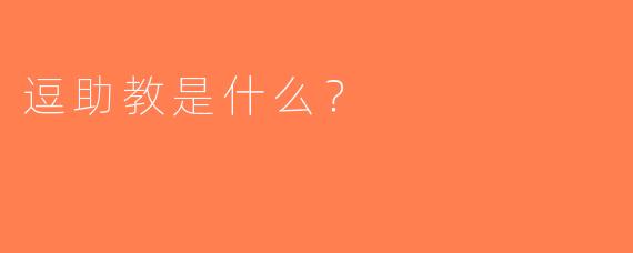 逗助教是什么？