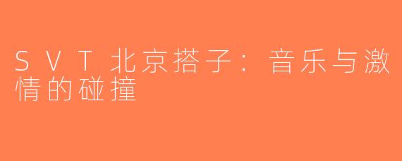 SVT北京搭子：音乐与激情的碰撞