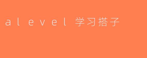 alevel学习搭子
