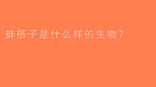 蚌搭子是什么样的生物？