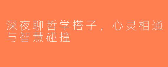 深夜聊哲学搭子,心灵相通与智慧碰撞