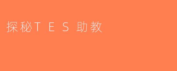 探秘TES助教