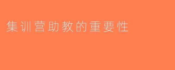 集训营助教的重要性