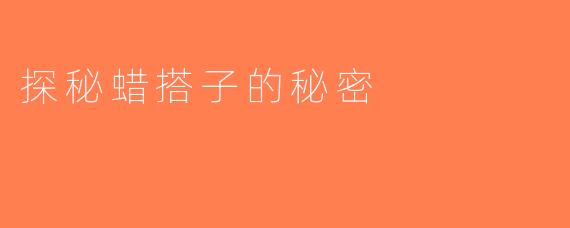 探秘蜡搭子的秘密
