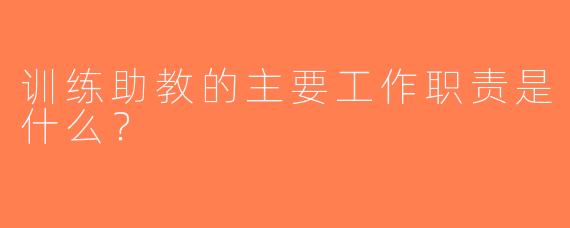 训练助教的主要工作职责是什么？