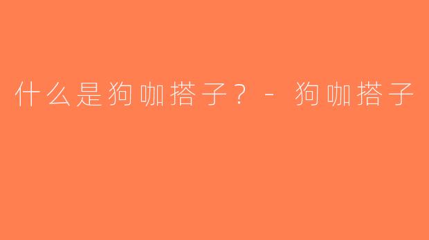什么是狗咖搭子？-狗咖搭子