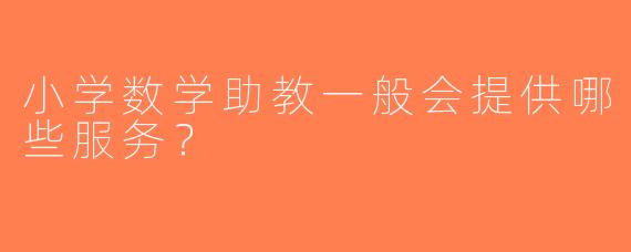 小学数学助教一般会提供哪些服务？