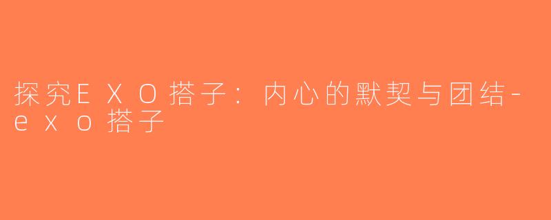 探究EXO搭子：内心的默契与团结-exo搭子
