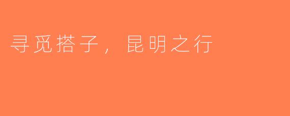 寻觅搭子，昆明之行