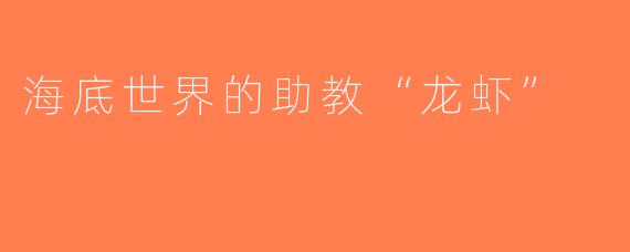 海底世界的助教“龙虾”