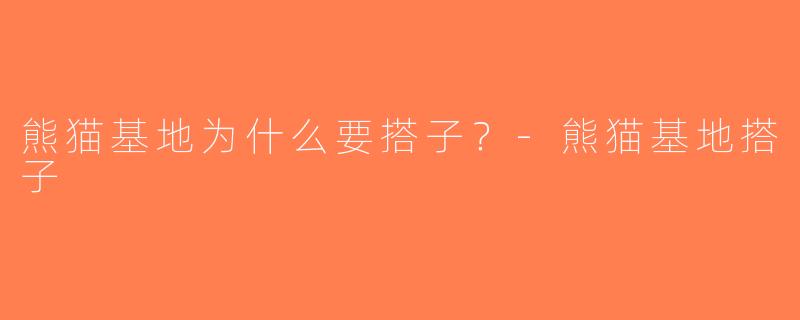熊猫基地为什么要搭子？-熊猫基地搭子