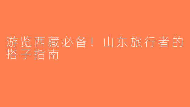游览西藏必备！山东旅行者的搭子指南
