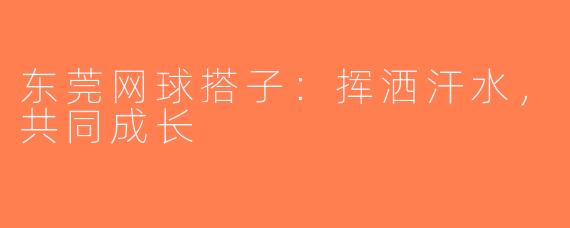 东莞网球搭子:挥洒汗水,共同成长