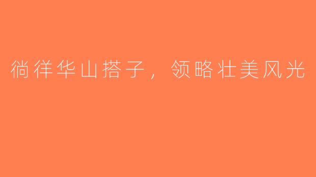徜徉华山搭子，领略壮美风光