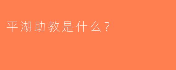 平湖助教是什么？