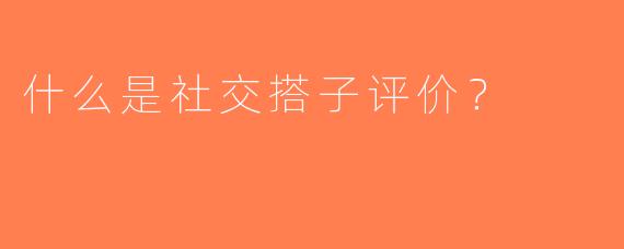 什么是社交搭子评价？